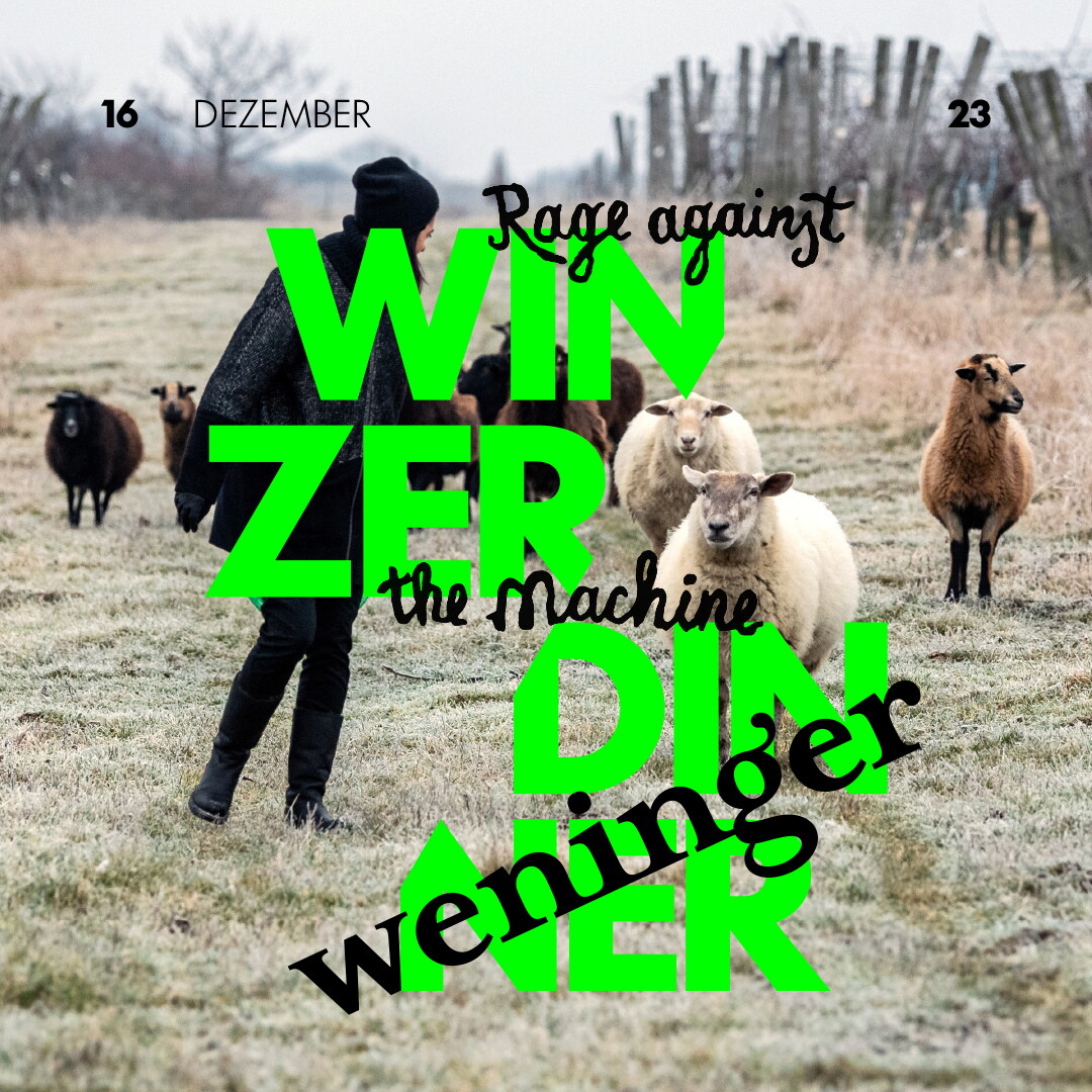 SIH WD WENINGER 1080x1080px 1